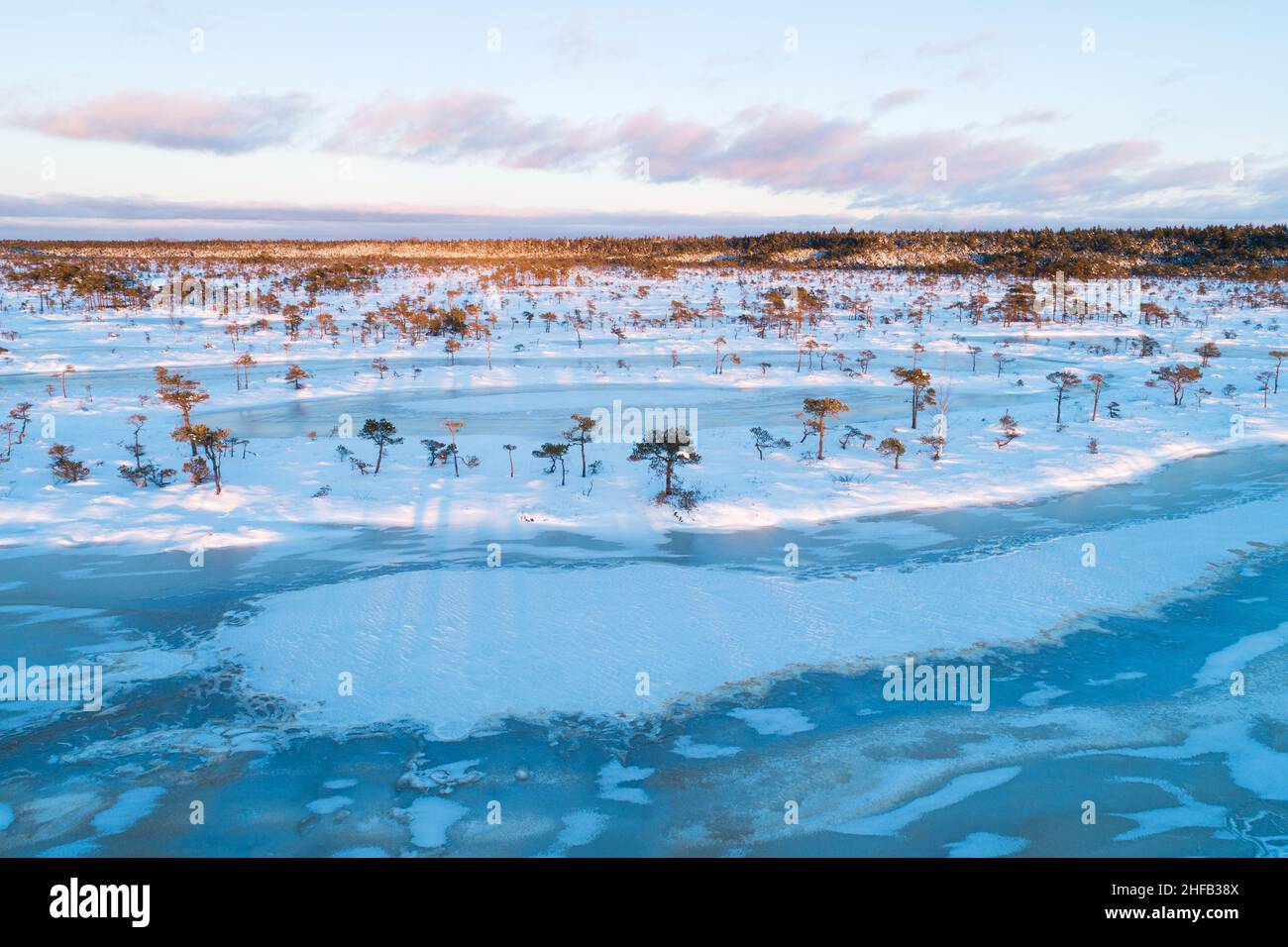 Torbiera con laghi di torbiera ghiacciati e piccoli pini durante un bellissimo tramonto con colori pastello nel Parco Nazionale Soomaa, Estonia. Foto Stock