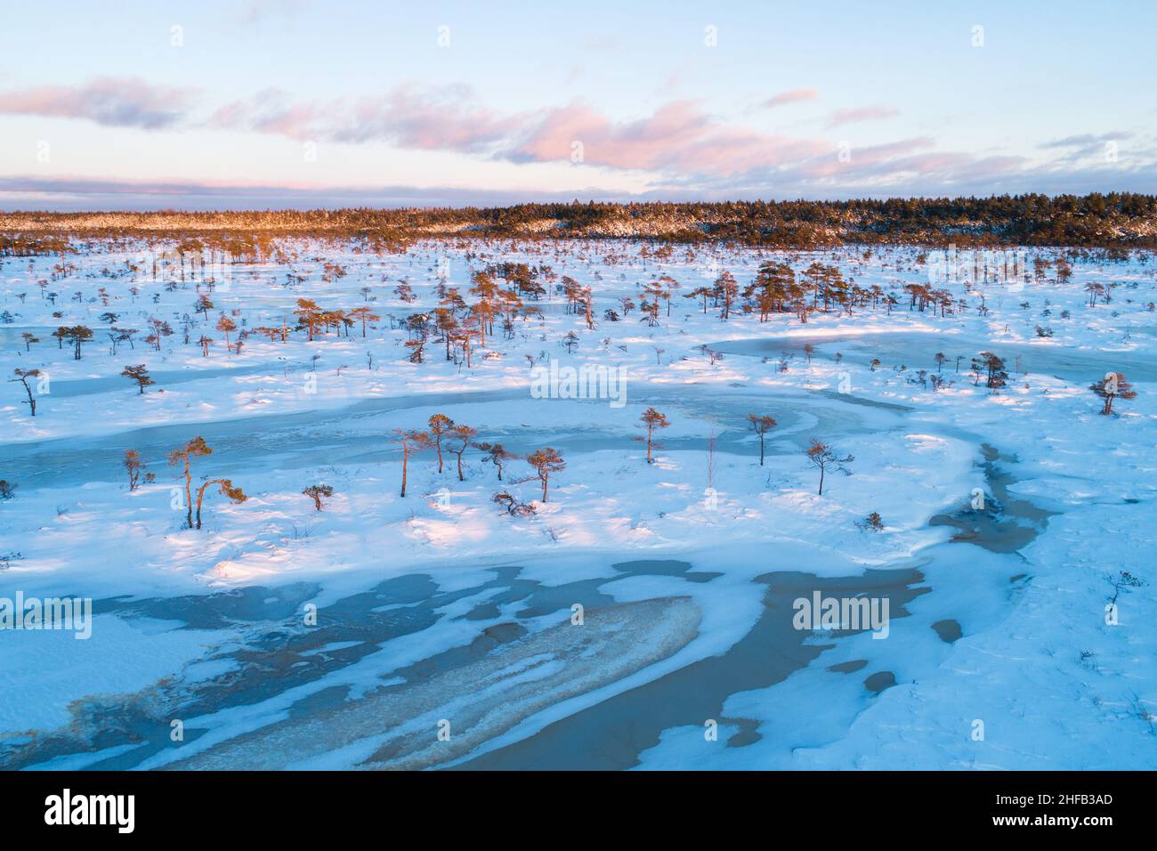 Torbiera con laghi di torbiera ghiacciati e piccoli pini durante un bellissimo tramonto con colori pastello nel Parco Nazionale Soomaa, Estonia. Foto Stock