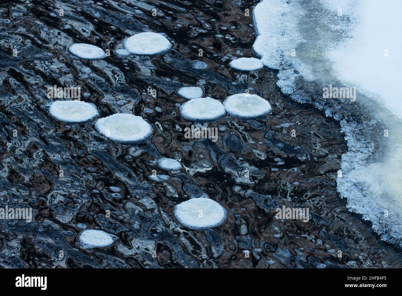 Diverse piastre di ghiaccio galleggiano nell'acqua del fiume durante una fredda giornata invernale nel Nord Europa. Foto Stock