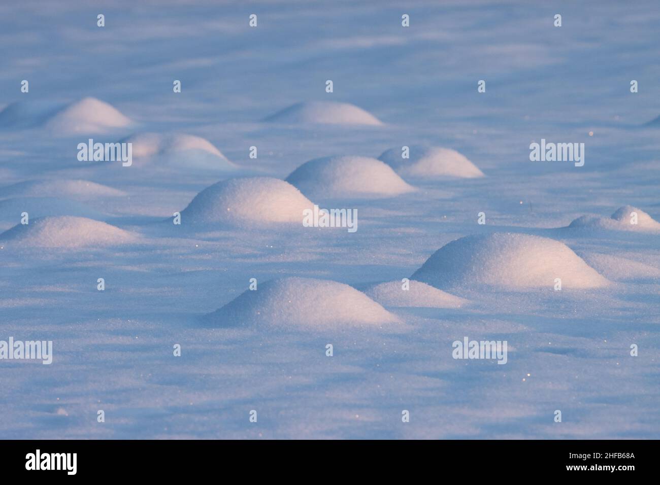 Gruppo di colline di molibdeno ricoperte di fitta copertura di neve durante una fredda giornata invernale nel Nord Europa. Foto Stock
