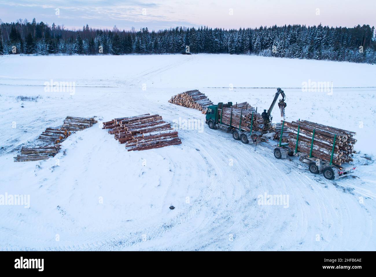 Caricamento di camion di legno vicino al palo di legname e di fronte ad una foresta in Estonia, Europa del Nord. Foto Stock