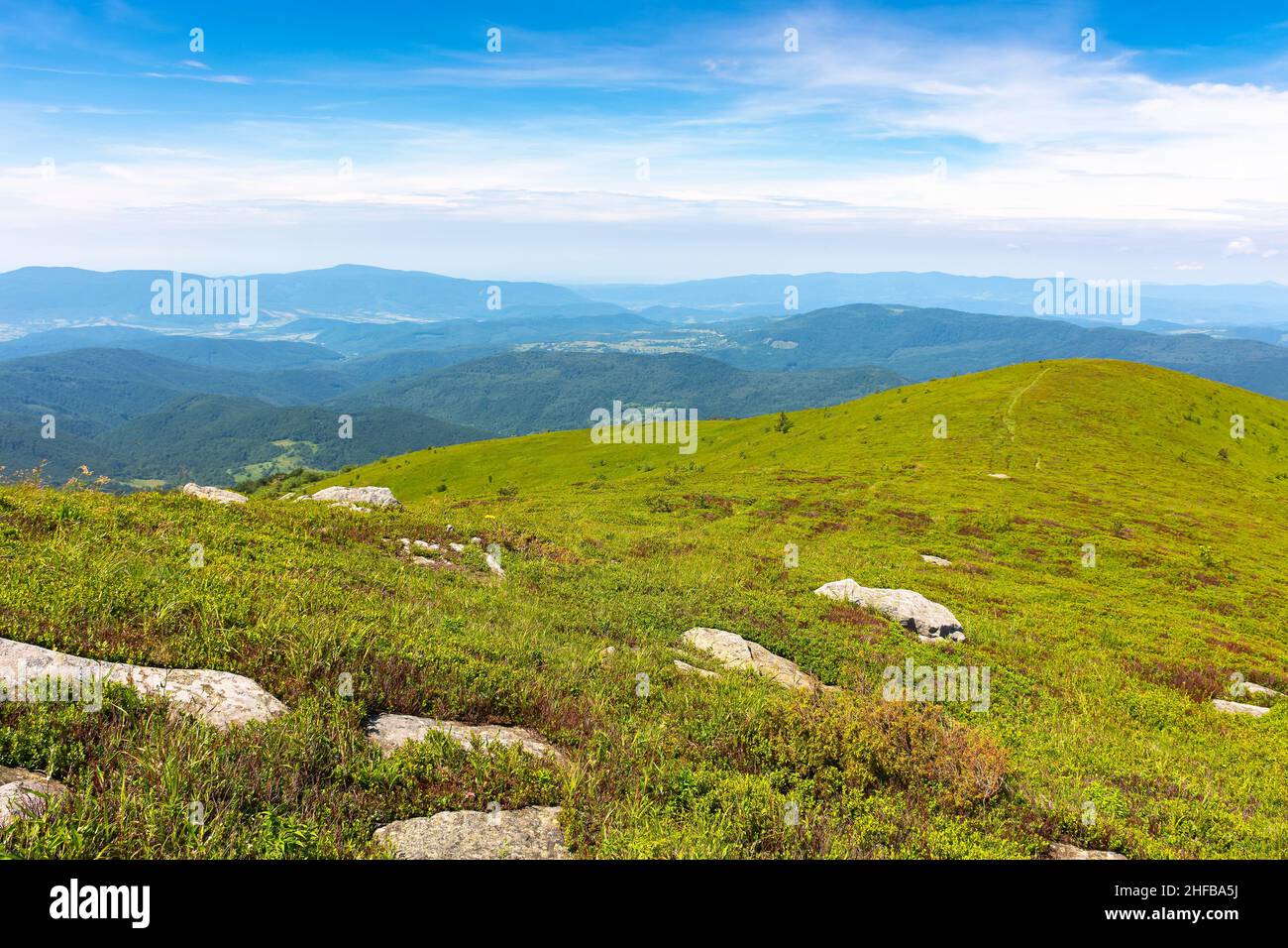 paesaggio montano sul crinale borzhava in estate. bellissimo paesaggio di verde natura carpazia. vista panoramica in una giornata di sole Foto Stock