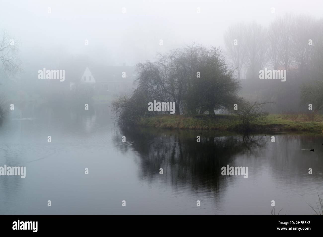 Riflesso di alberi senza frondoli in un piccolo lago in tempo nebboso. Zuid-Beveland, provincia di Zeeland, Paesi Bassi. Foto Stock