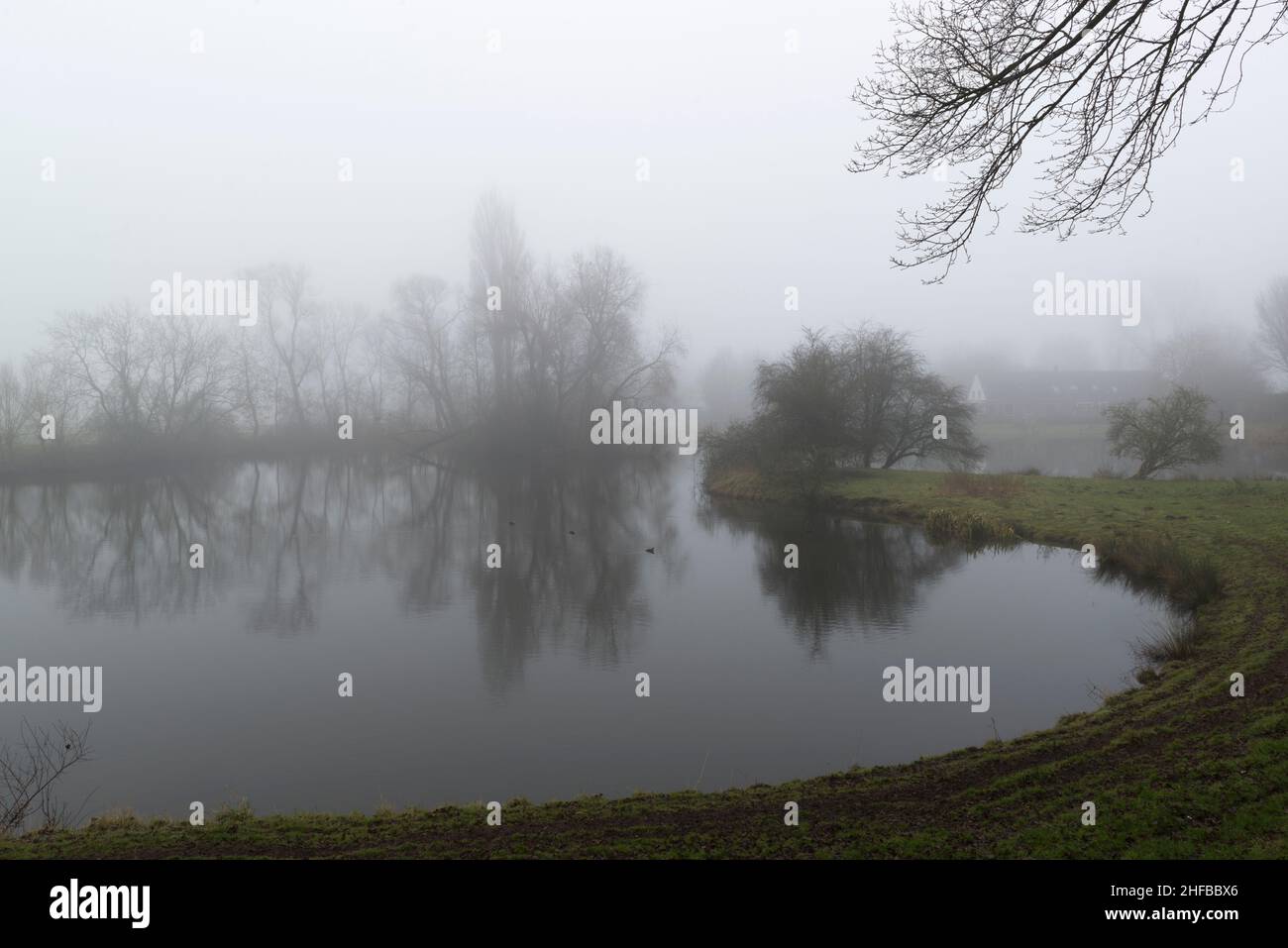 Riflesso di alberi senza frondoli in un piccolo lago in tempo nebboso. Zuid-Beveland, provincia di Zeeland, Paesi Bassi. Foto Stock