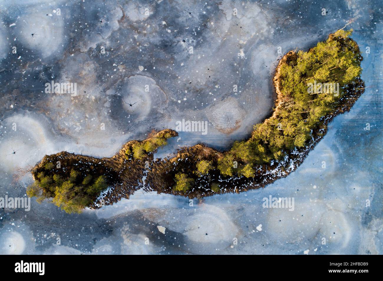 Una splendida vista aerea di un lago di palude ghiacciata con una piccola isola nella natura selvaggia dell'Estonia. Foto Stock