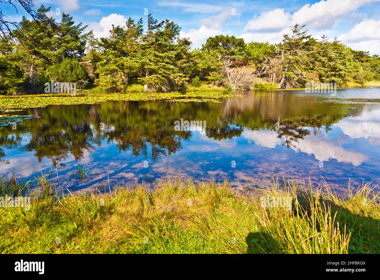 Natura incontaminata sull'isola di Danoe in Danimarca Foto stock - Alamy