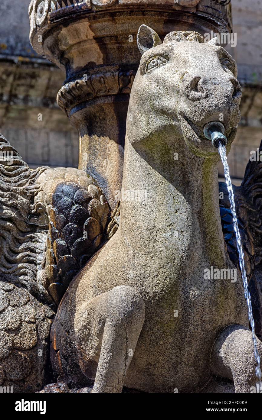 Fuente de los caballos en la plaza de platerias, Santiago de compostela Foto Stock