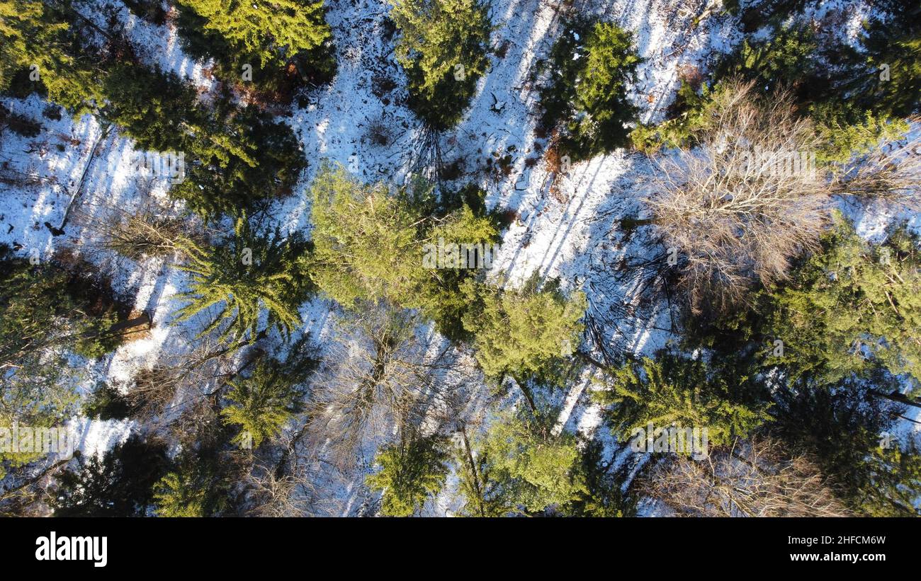 Vista del drone sopra la foresta d'inverno Foto Stock