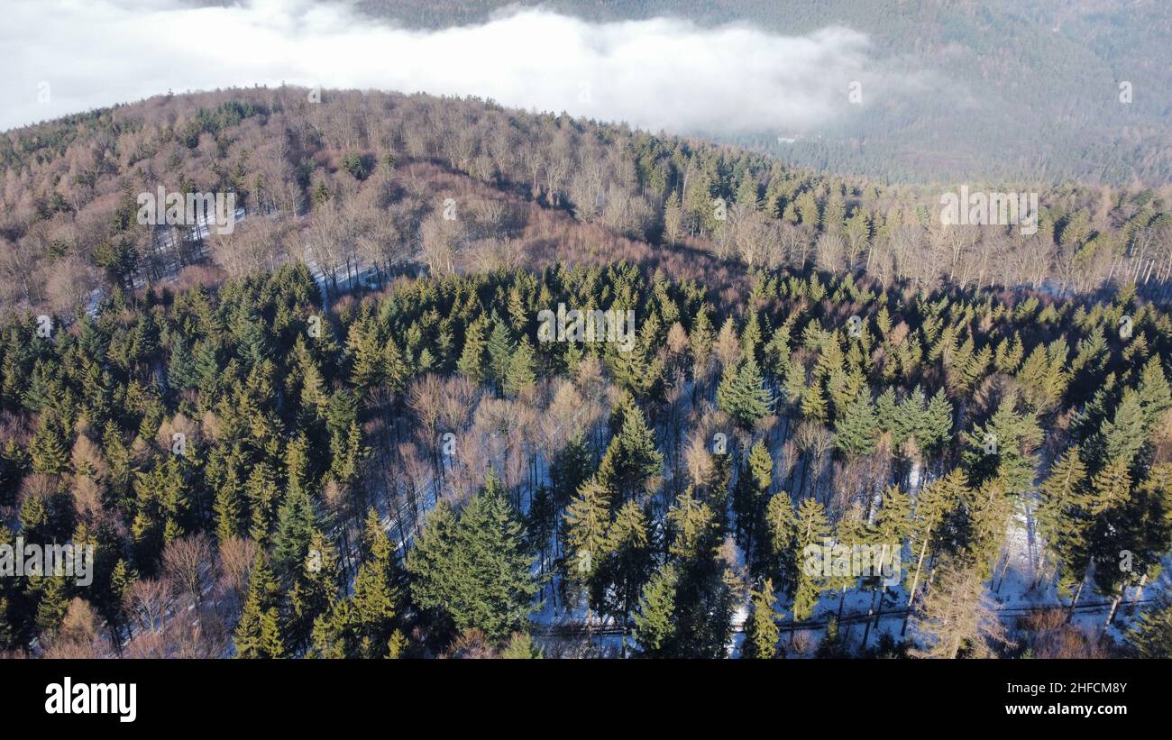 Vista del drone sopra il forrest d'inverno Foto Stock