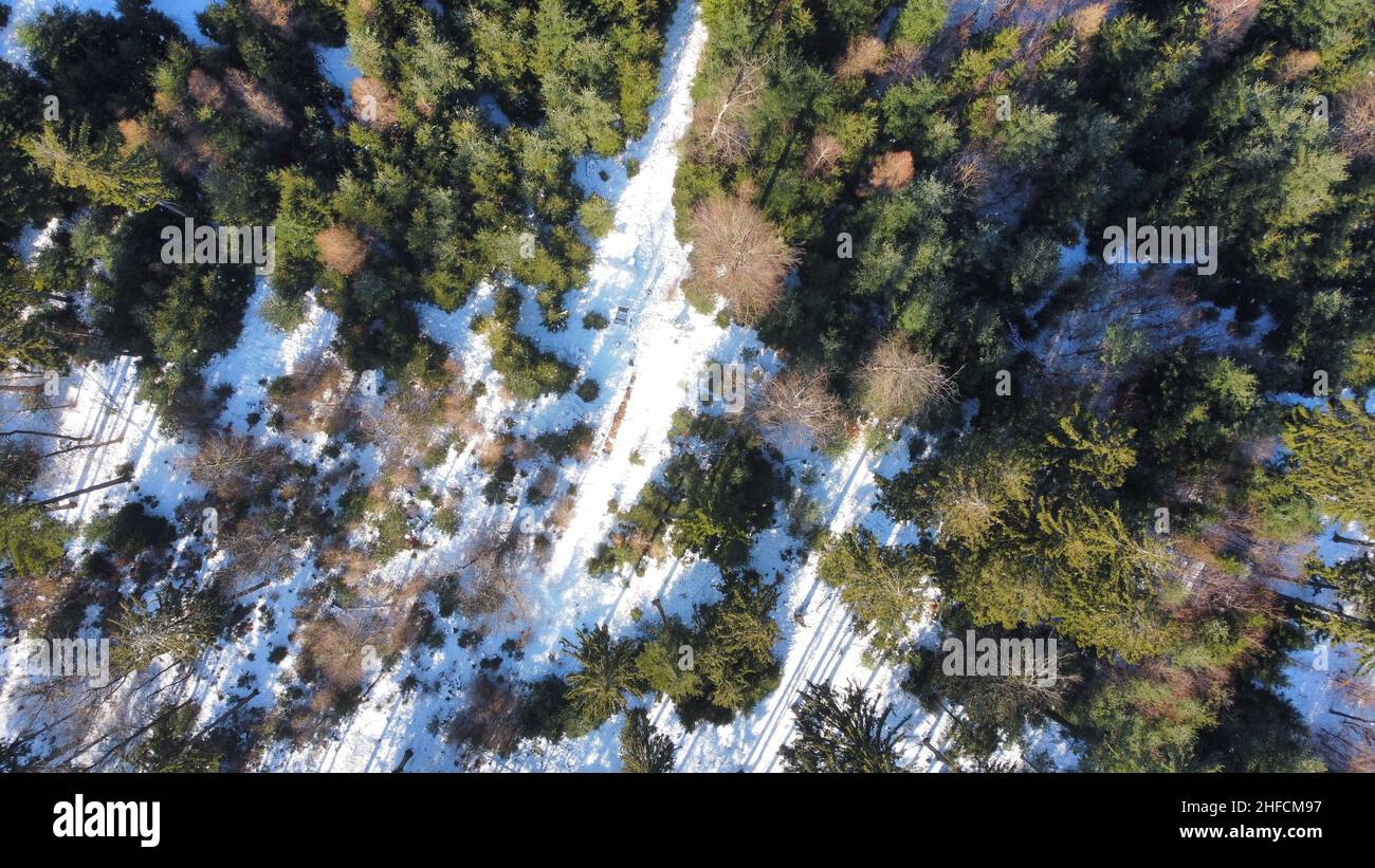 Vista del drone sopra il forrest d'inverno Foto Stock