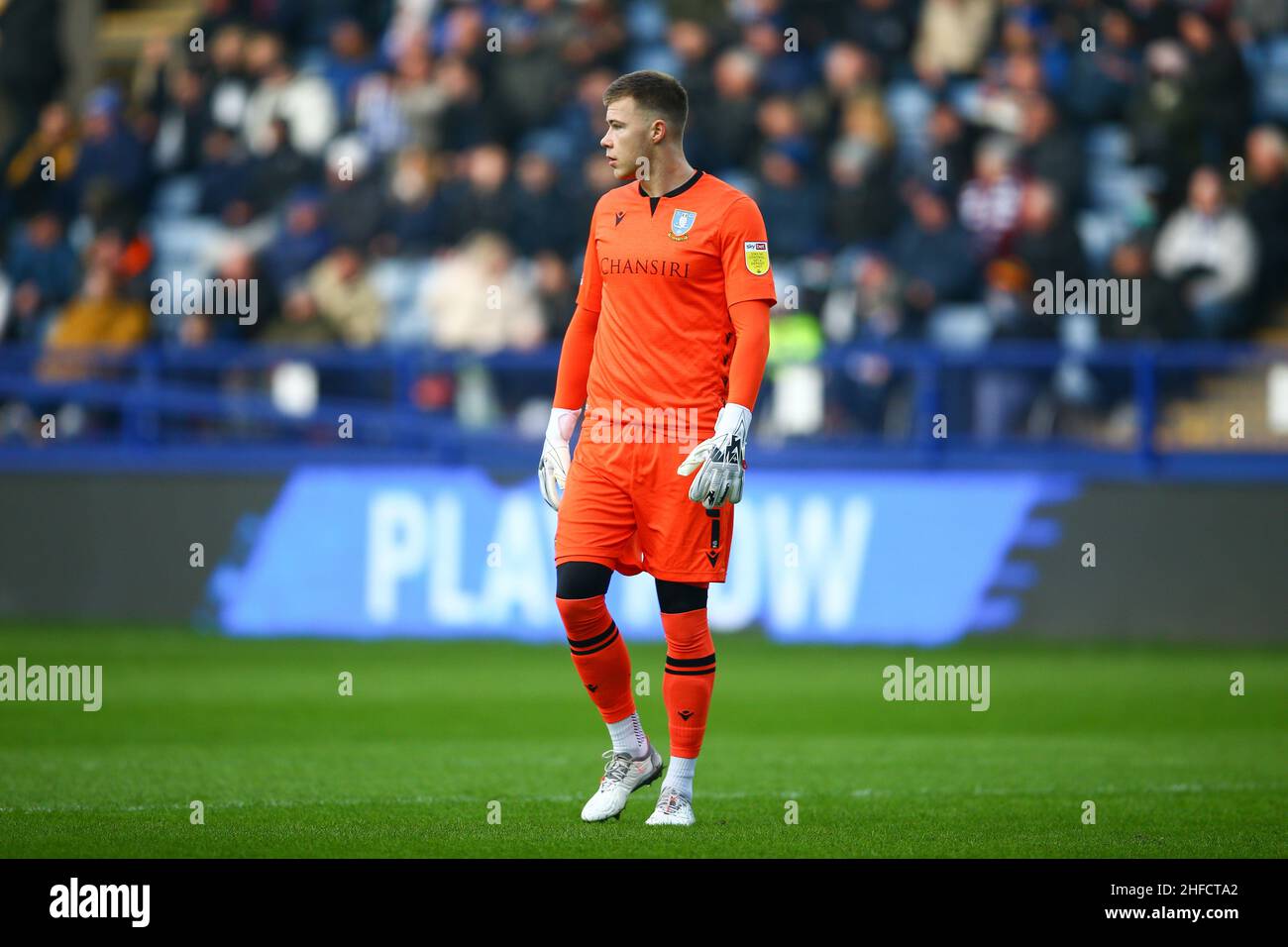 Hillsborough, Sheffield, Inghilterra -15th gennaio 2022 Bailey Peacock-Farrell portiere di Sheffield Mercoledì - durante la partita Sheffield Mercoledì v Plymouth Argyle, Sky Bet League One, 2021/22, Hillsborough, Sheffield, Inghilterra - 15th gennaio 2022 credito: Arthur Haigh/WhiteRosePhotos/Alamy Live News Foto Stock