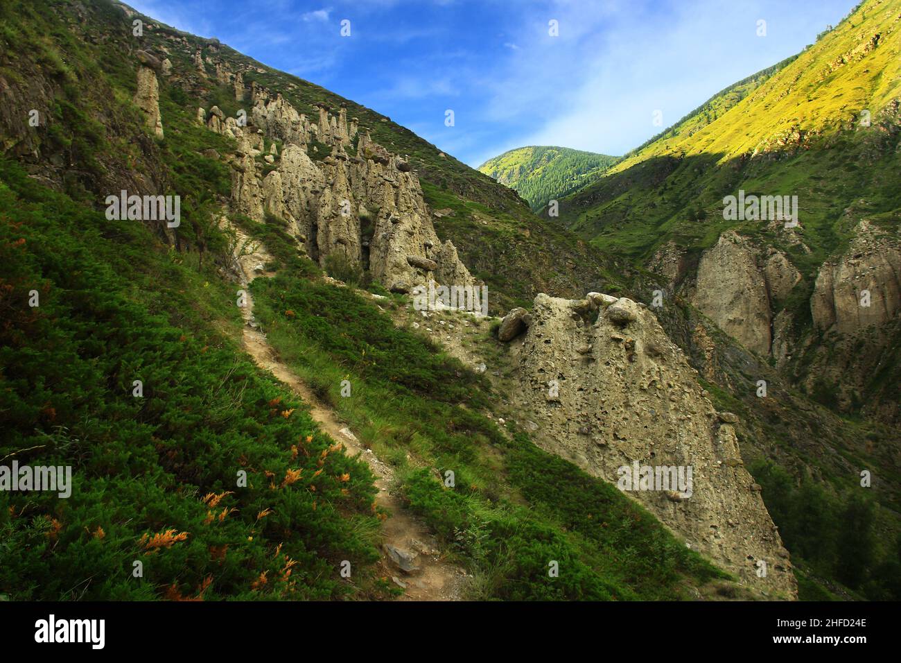 Verdi pendii dei monti Altai in Akkurum trakt con funghi di pietra in suma Foto Stock