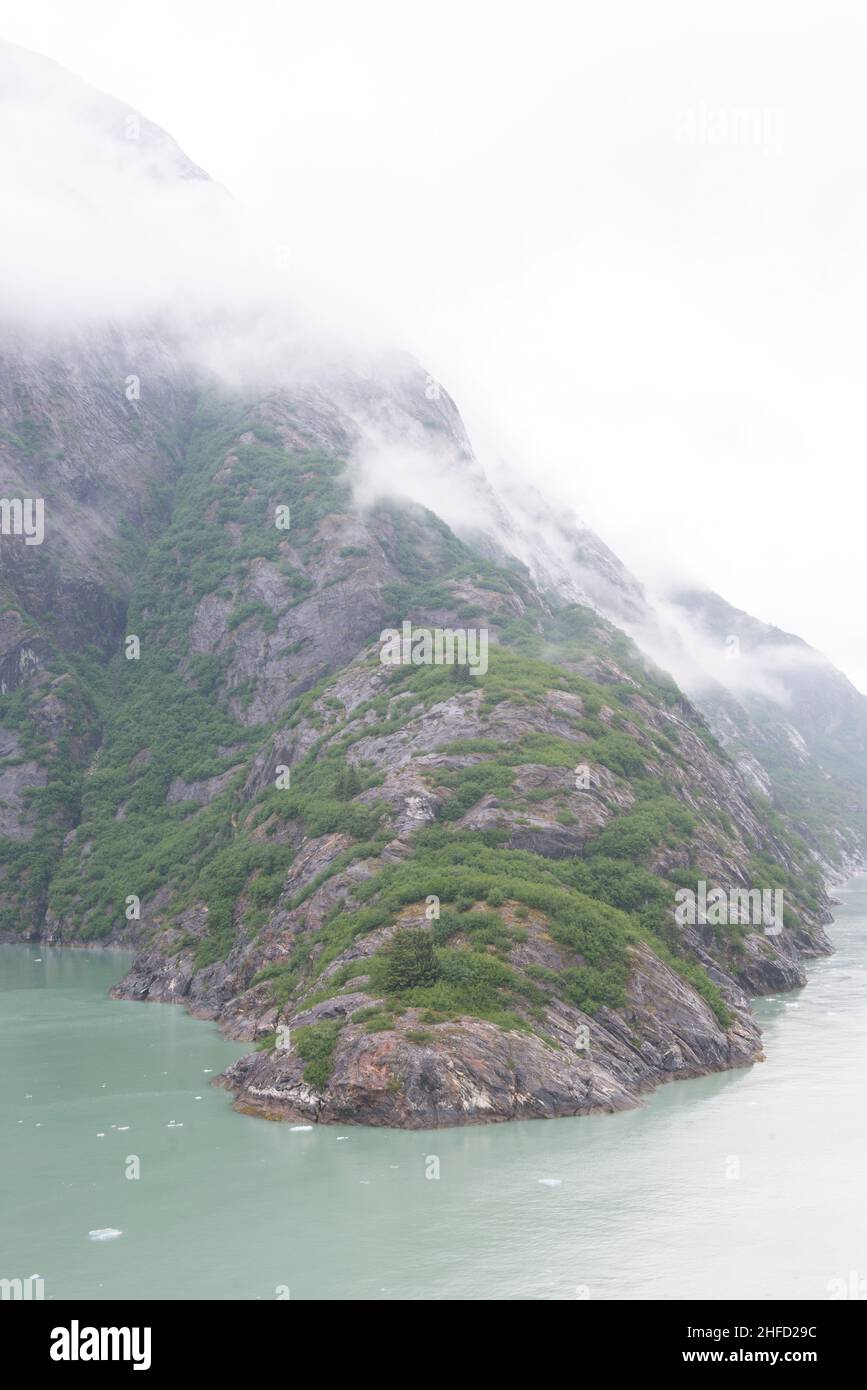 Come un animale, un affioramento di granito facilita il Tracy Arm Fjord. Foto Stock