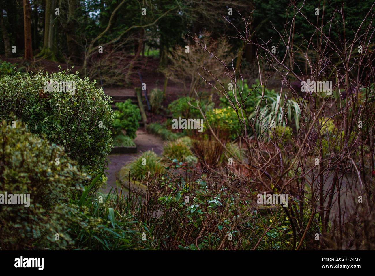 Giardino sunken ai Giardini Denzell (Devisdale), che vanta una pletora di piante sia native che non, mostrato dal percorso perimetrale Foto Stock