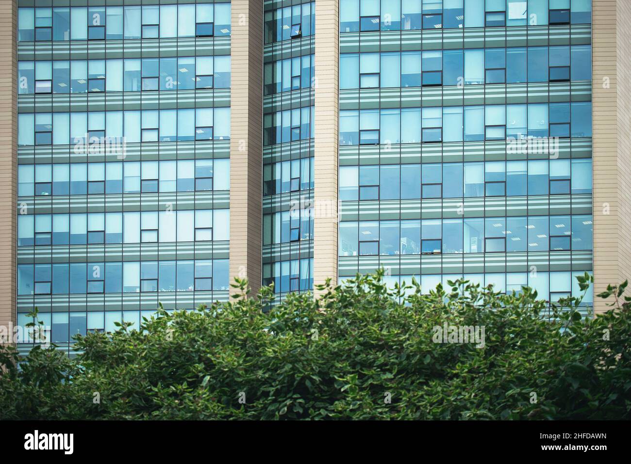 Moderno edificio di uffici con alberi nel parco cittadino - concetto di natura verde Foto Stock