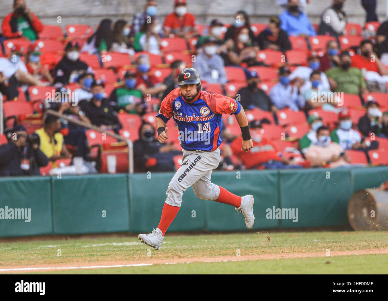 MAZATLAN, MESSICO - FEBBRAIO 02: Melky Cabrera di Las Águilas Cibaeñas , durante la partita tra Repubblica Dominicana e Panama come parte della Serie del Caribe 2021 al Teodoro Mariscal Stadium il 2 febbraio 2021 a Mazatlan, Messico. (Foto di Luis Gutierrez/Norte foto) Foto Stock