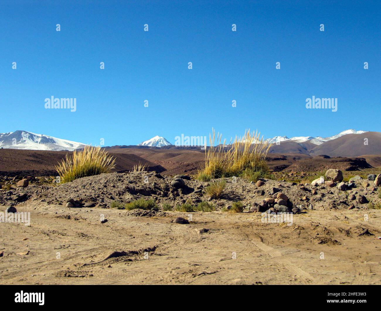 Panorama di montagna con le cime innevate nel deserto di Atacama Cile Foto Stock