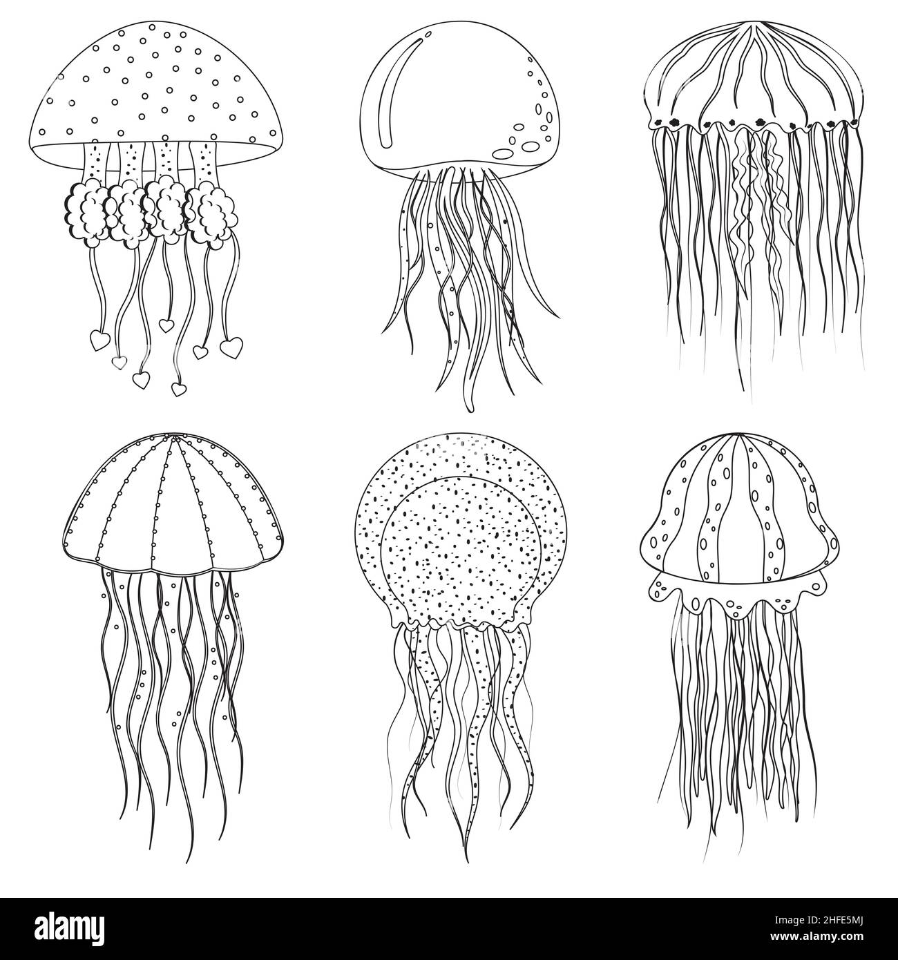 Medusa di mare, contorno nero, disegno vettoriale da colorare Immagine e  Vettoriale - Alamy