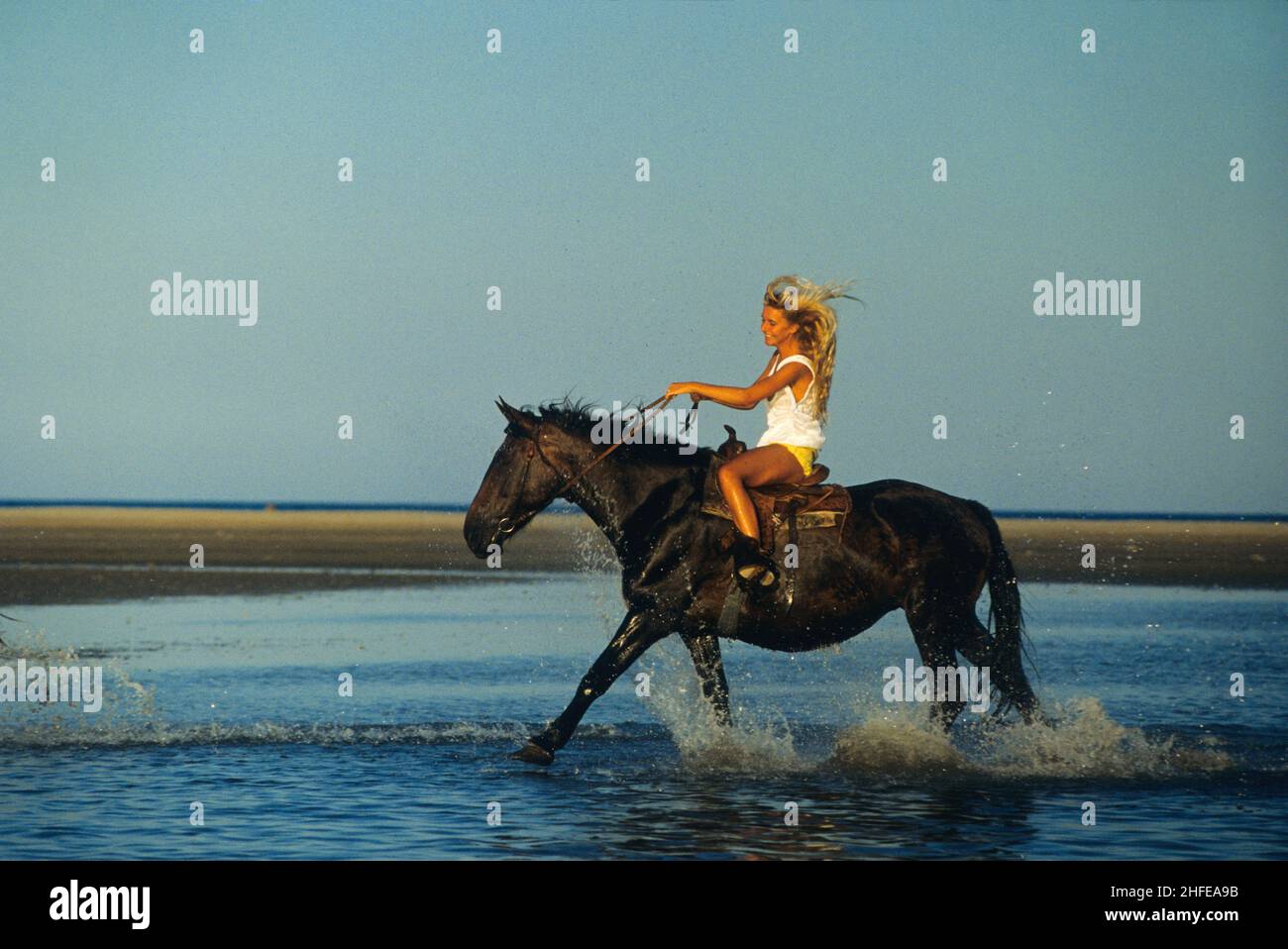 Capelli biondi giovane donna cavallo galoppante su sfondo cielo blu acqua Foto Stock