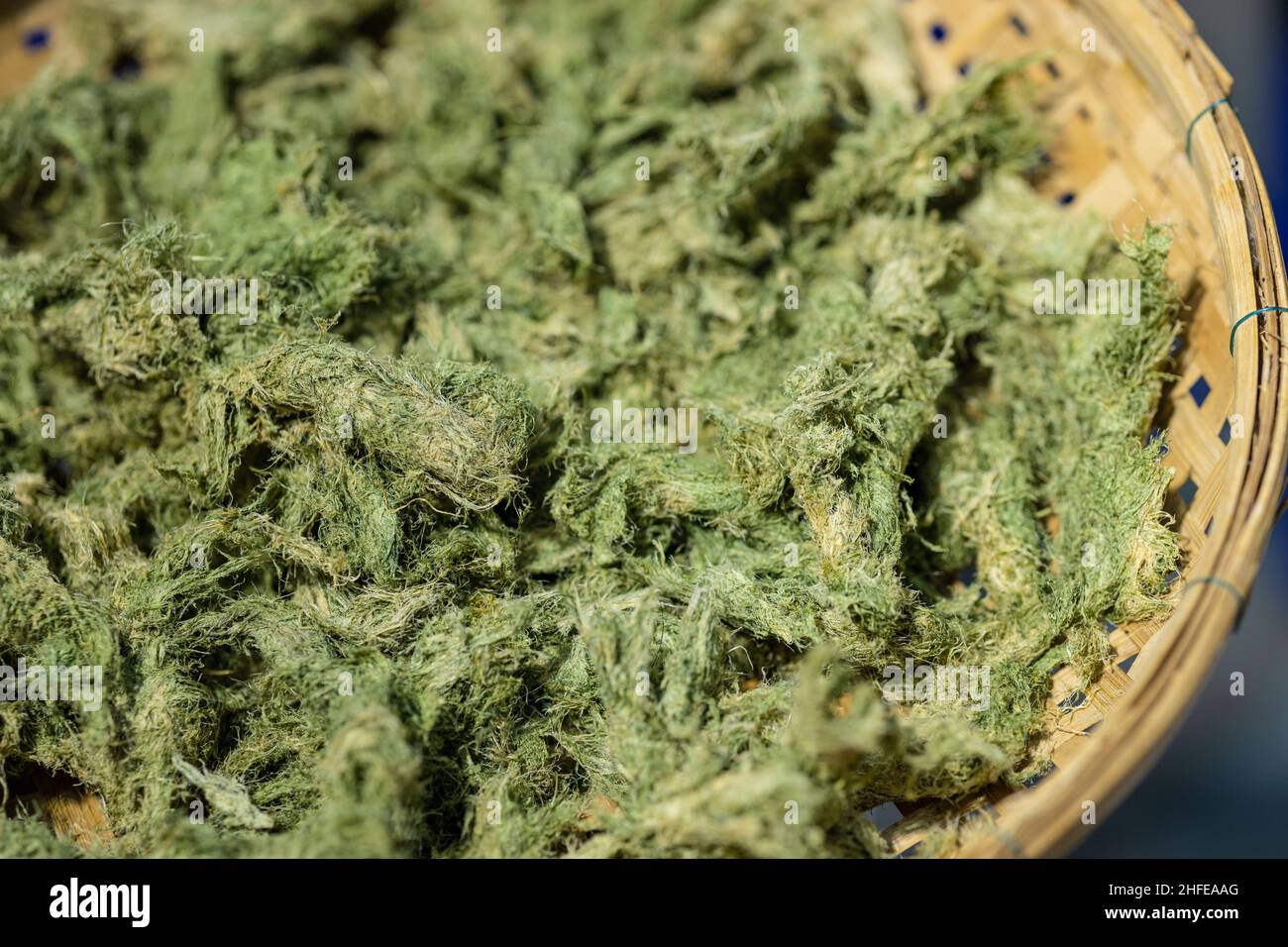 Cellulosa fibra naturale secca da albero vegetale per carta o vestiti rigenerabile Foto Stock