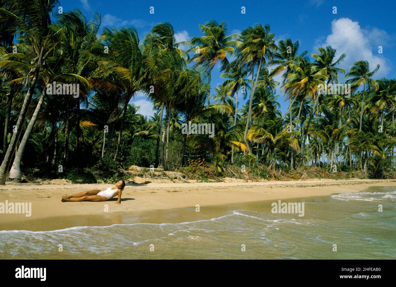 Bellezza adagiato sulla spiaggia di palme tropicali di sabbia sul retro del terreno Foto Stock