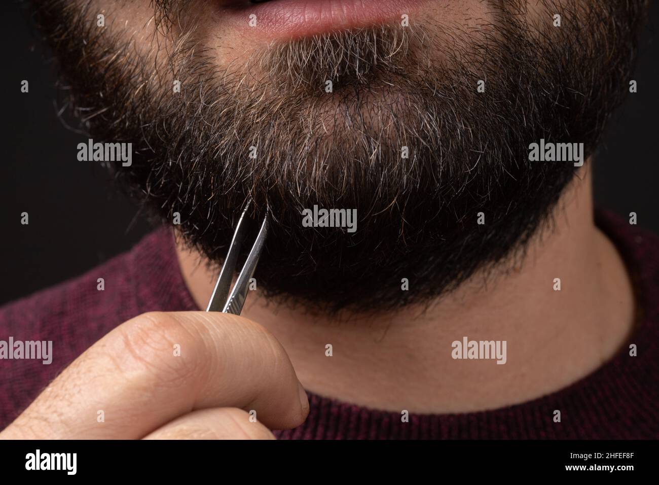 Macro di uomo bearded che tira dolorosamente i capelli grigi dalla barba nera spessa con le pinzette. Uomo cura dei capelli e della pelle. Foto Stock