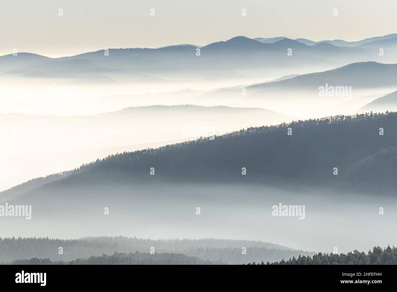 Silhouette di montagna nel mare di nebbia in inverno. Vosgi, Francia, Europa. Foto Stock