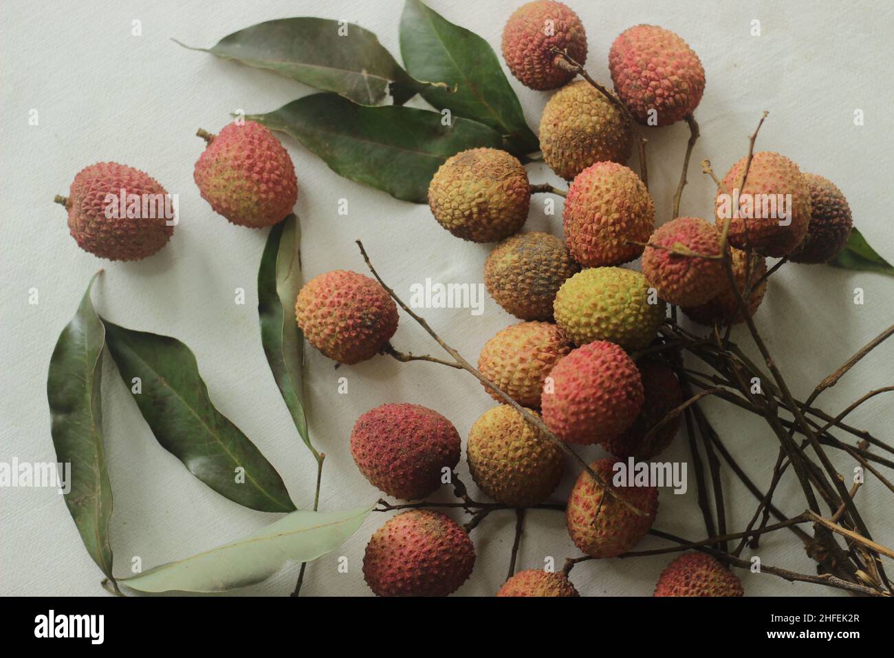 I frutti di lychee sono sparati su sfondo bianco. Litchi chinensis anche ortografato litchi o lichi, è un albero sempreverde della famiglia delle saapberry o delle saindacee, gr Foto Stock
