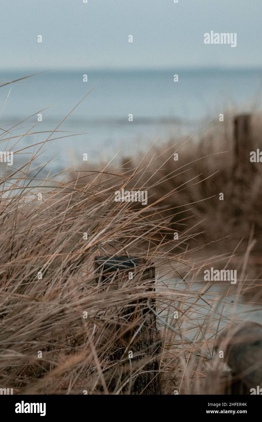 Dueninceser auf fehmarn am strand mit ostsee im Hintergrund Foto Stock