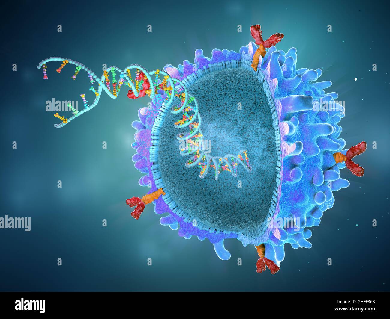 Cellula immune del recettore dell'antigene chimerico geneticamente ingegnerizzato con filamento genico impiantato - illustrazione 3D Foto Stock