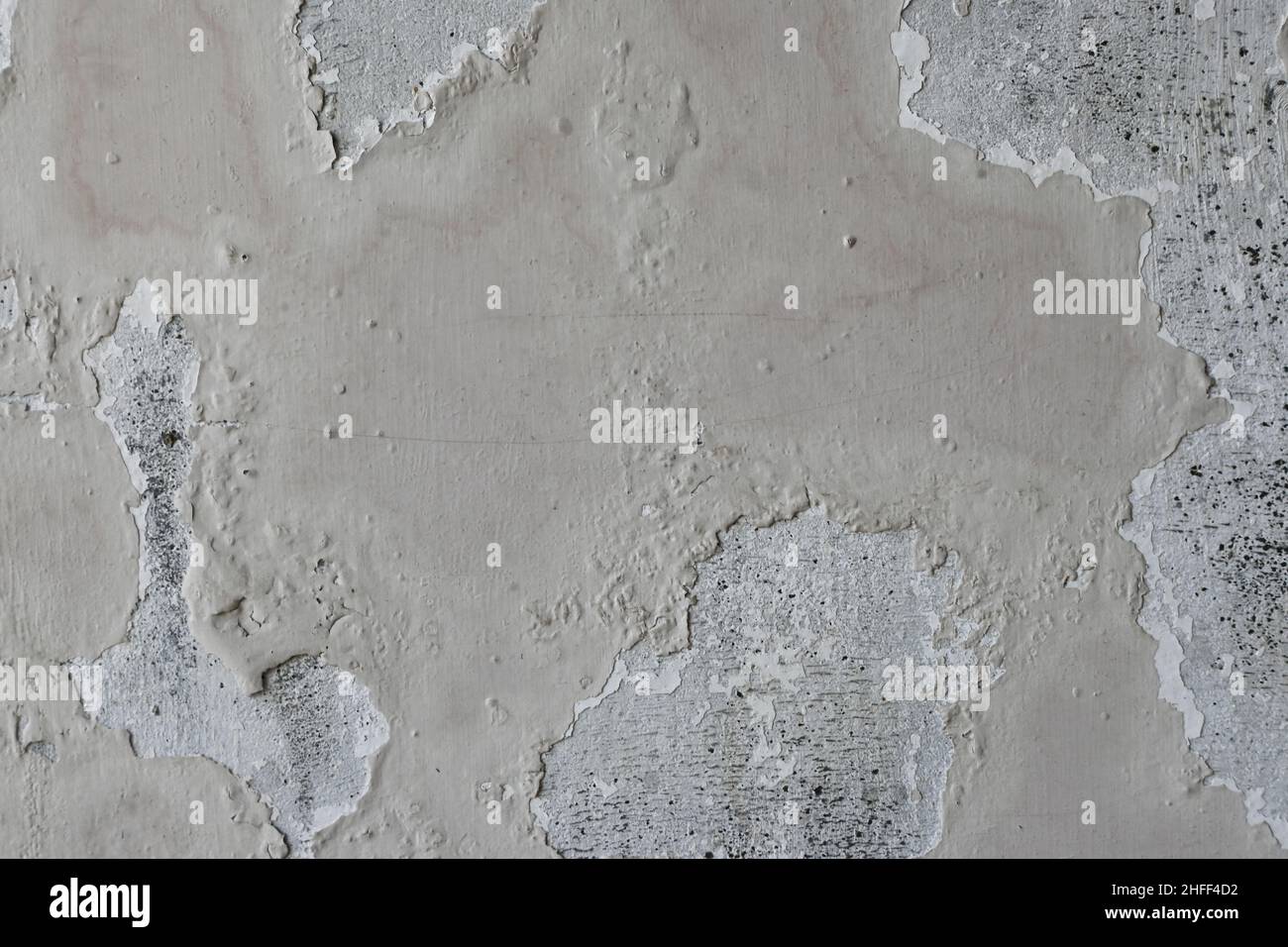 Parete incrinata con perdita di vernice e fungo Foto Stock