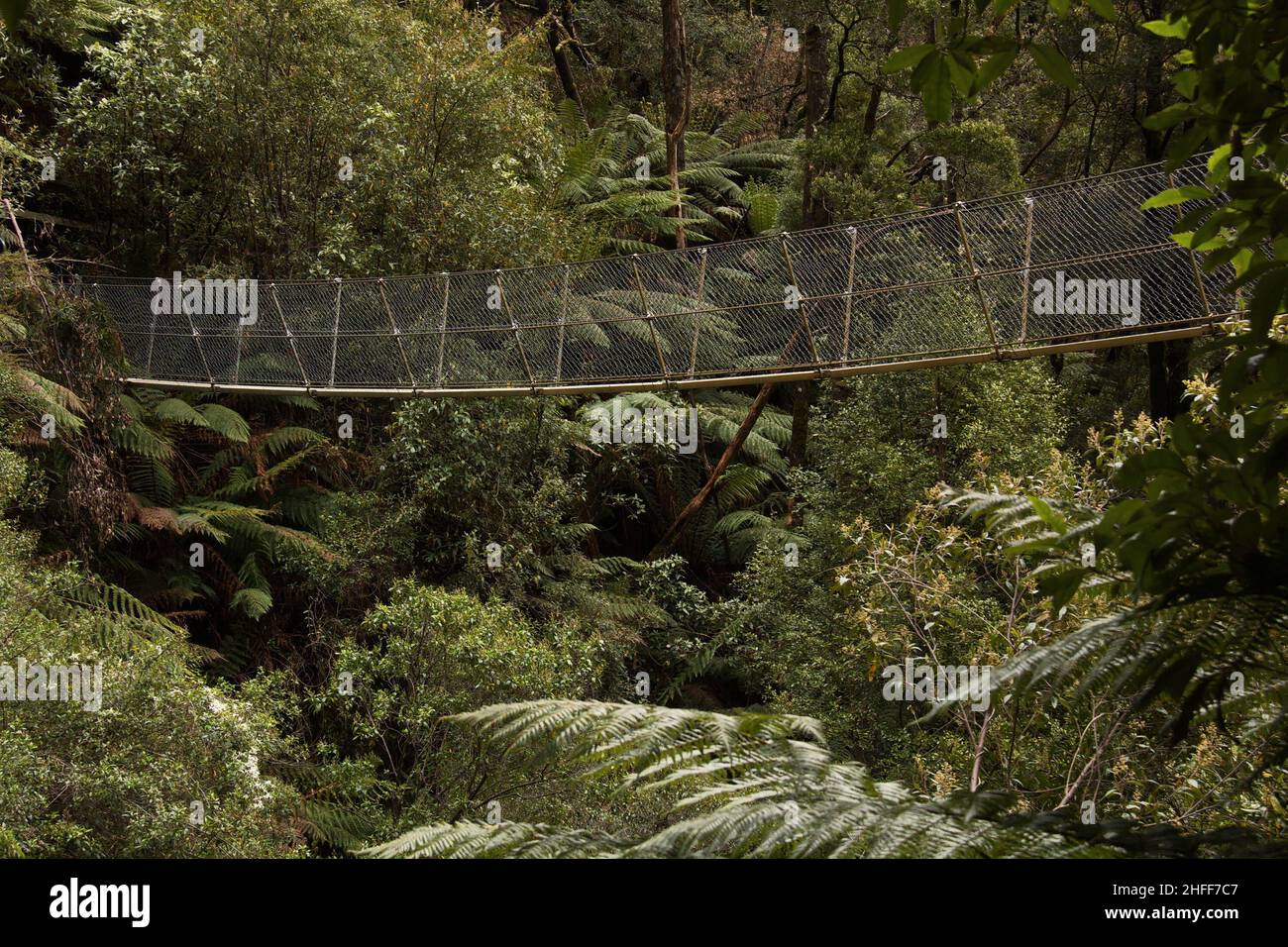 Ponte sospeso alle Cascate Montezuma in Tasmania, Australia Foto Stock