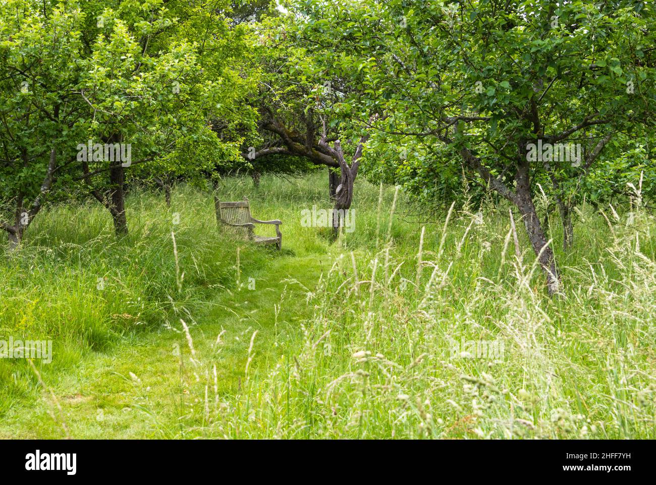 Anne Hathaway: Il Mistero Della Moglie Di William Shakespeare!