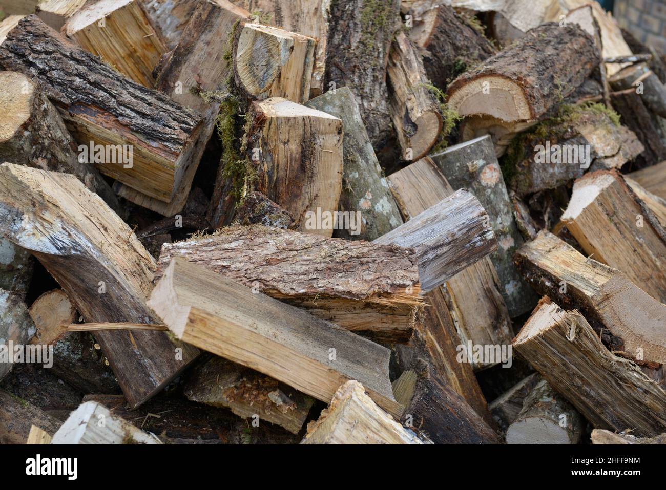 Primo piano di un mucchio di legna da ardere tagliata Foto Stock