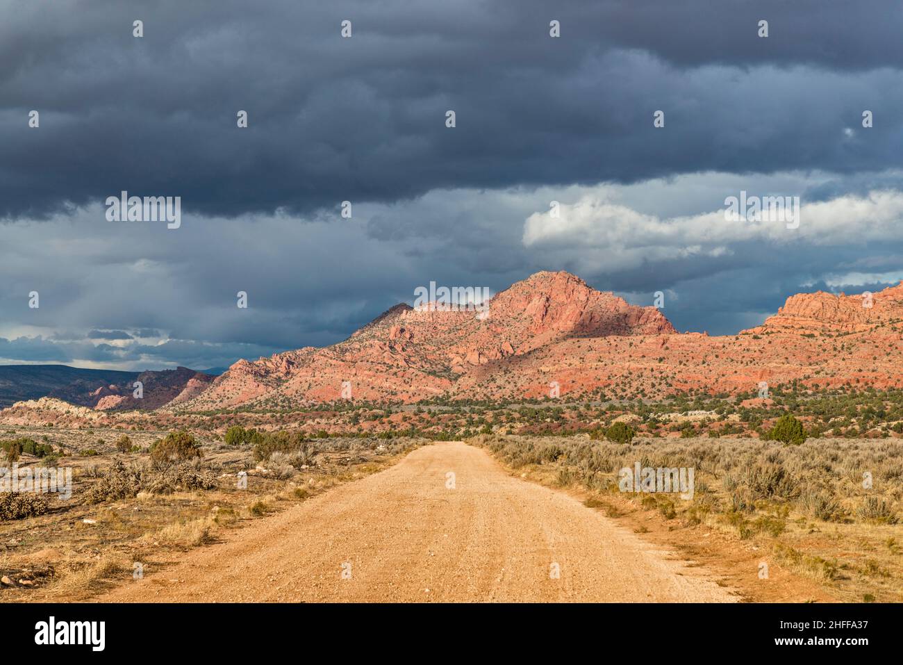 House Rock Valley Road (1065 strada), Coyote Buttes, Coyote Valley, al confine con Vermilion Cliffs National Monument, Arizona, Stati Uniti Foto Stock