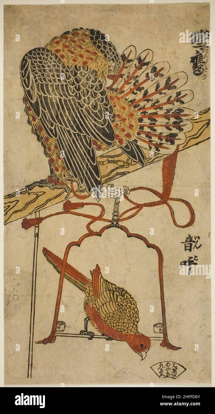 Sparrowhawk e Macaw (Konori taka, inko), c.. 1718. Attribuito a Torii Kiyomasu I. Foto Stock