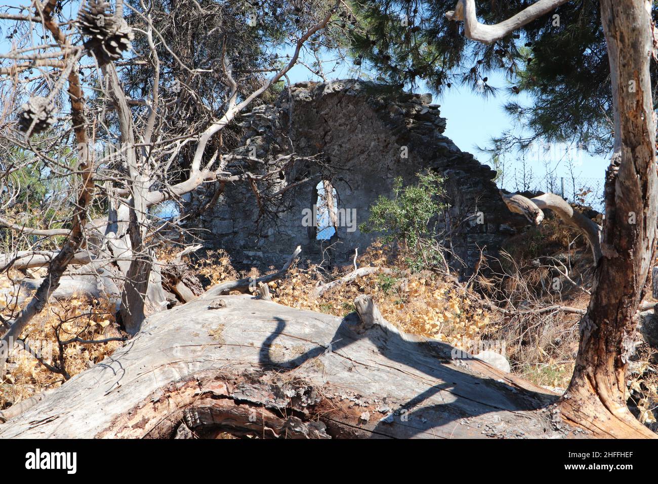 Rovine dell'Acropoli dell'antica Thasos Foto Stock