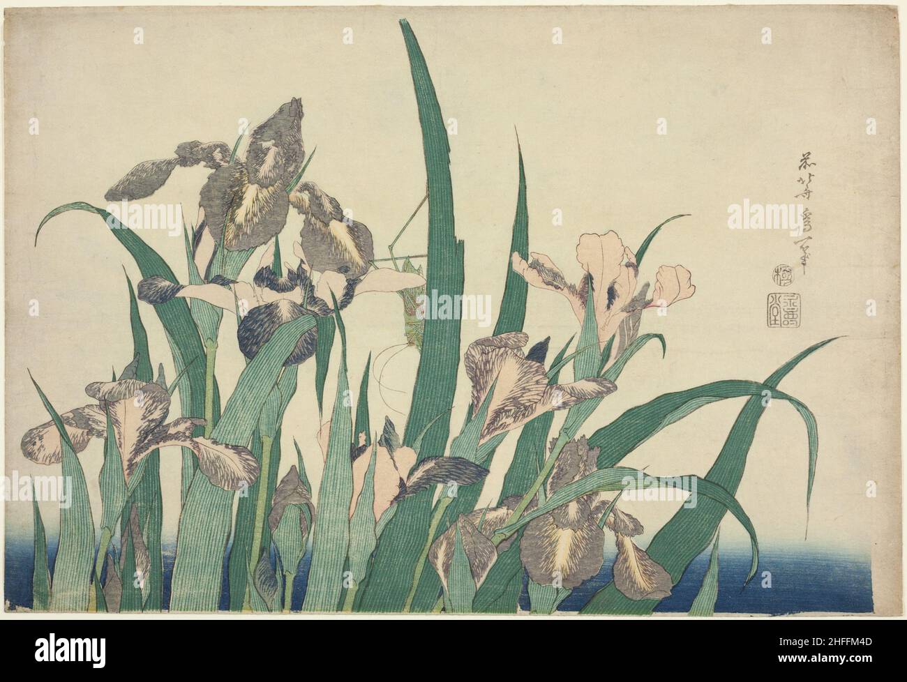 Iris e Grasshopper, da una serie senza titolo di grandi fiori, Giappone, c.. 1833/34. Foto Stock