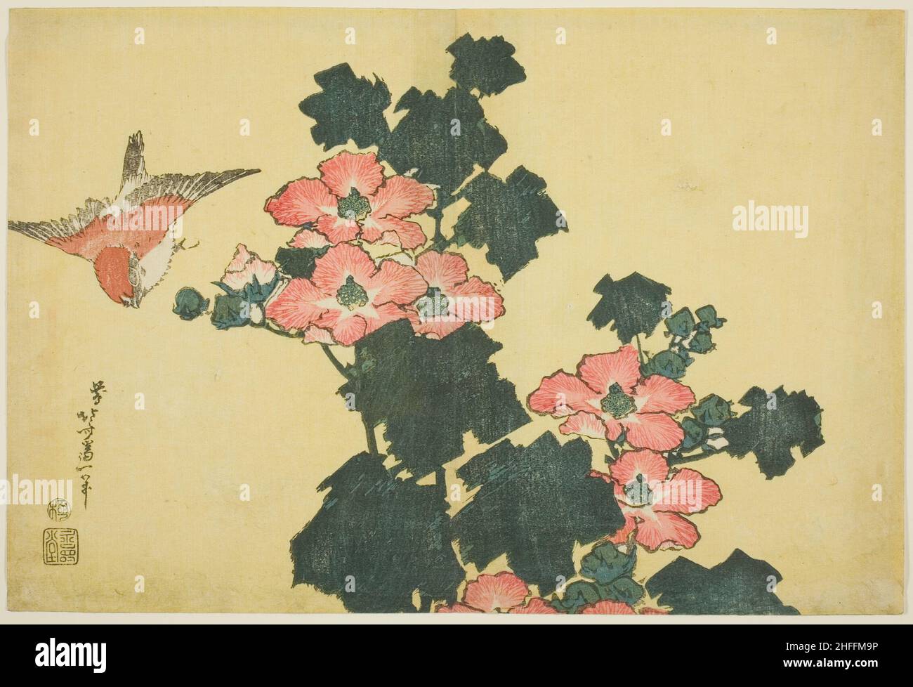 Cotton Roses and Sparrow, di una serie senza titolo di grandi fiori, Giappone, c.. 1833/34. Foto Stock