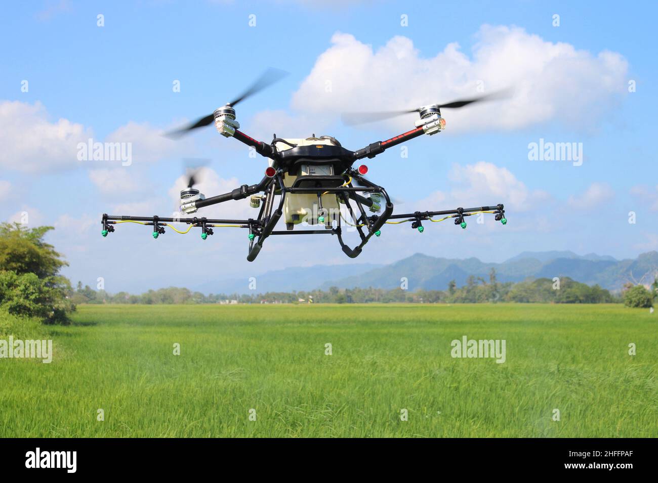 Uso di droni agricoli per spruzzare pesticidi in risaie Foto Stock