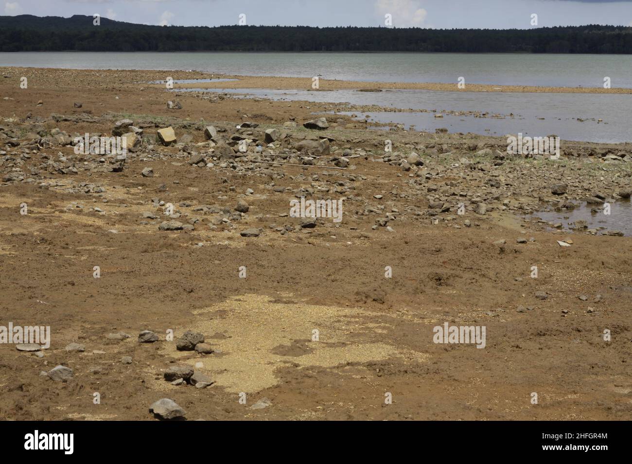 Mare aux Vacoas è il più grande serbatoio di Mauritius. Si trova a Plaines Wilhems Foto Stock