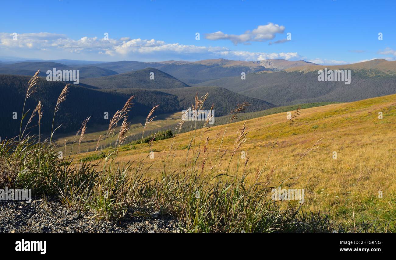 Serata autunnale panoramica lungo l'autostrada 40 / Trail Ridge Rd in cima alle Montagne Rocciose (11'796 piedi di altitudine), Grand County CO Foto Stock