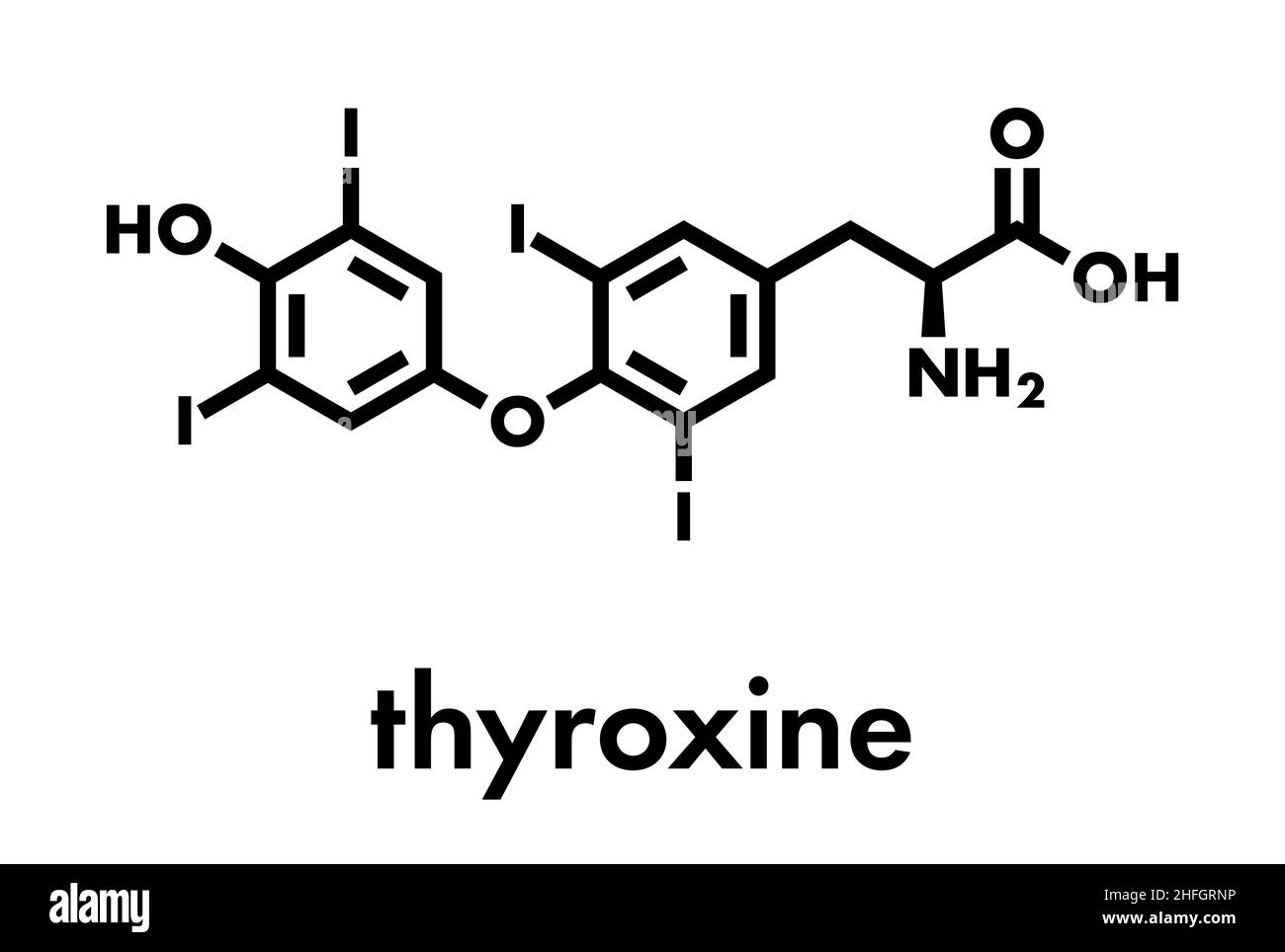 Thyroxine (T4, levothyroxine) molecola di ormone tiroideo. Proormone della timonina (T3). Utilizzato come farmaco per il trattamento dell'ipotiroidismo. Formula scheletrica. Illustrazione Vettoriale