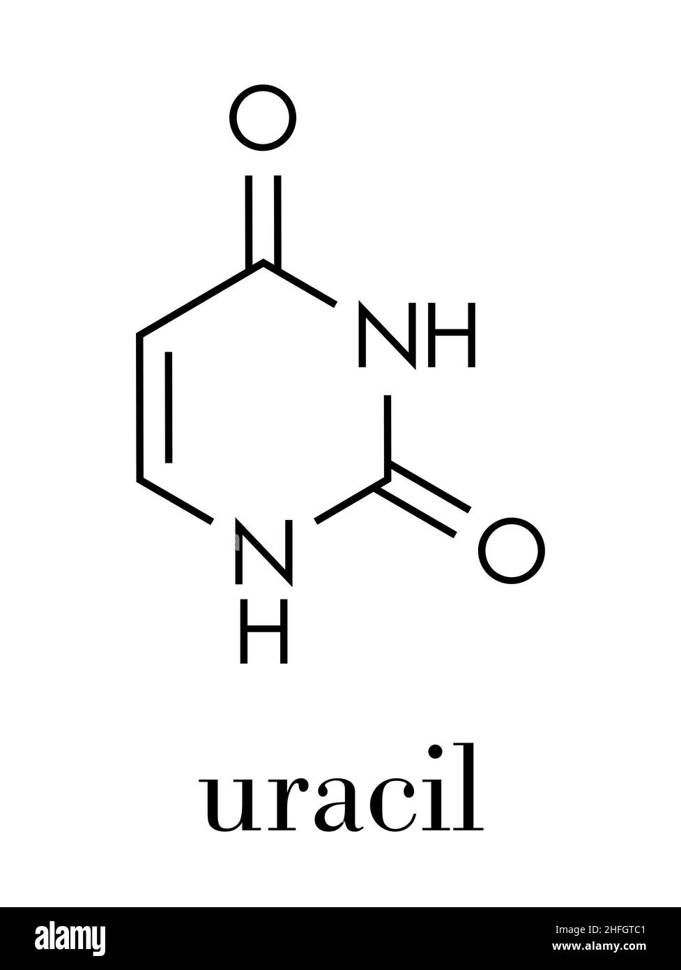 Molecola di uracil (U) nucleobasi. Presente in acido ribonucleico (RNA). Formula scheletrica. Illustrazione Vettoriale