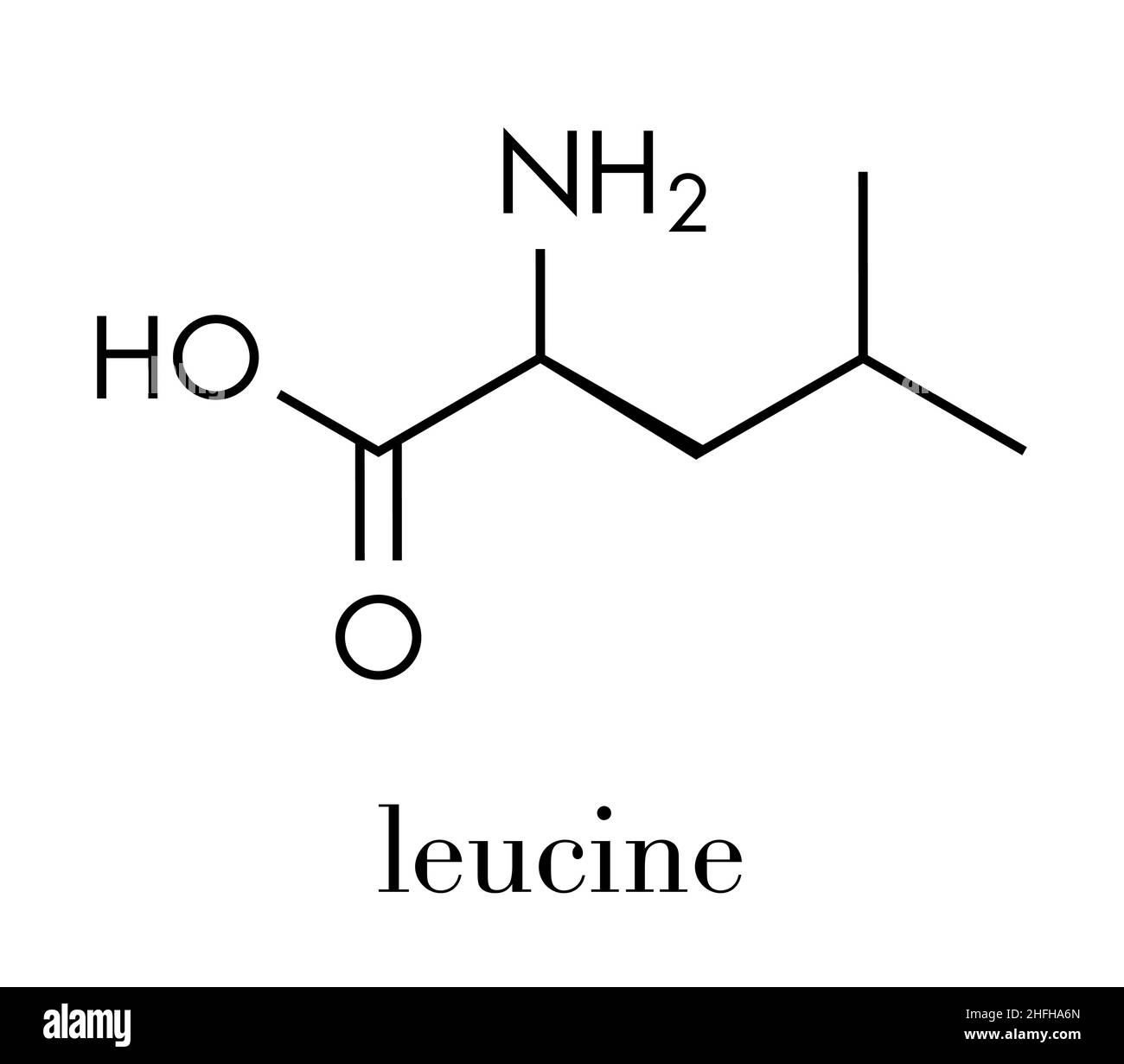 Leucina (l-leucina, Leu, L) molecola di amminoacido. Formula scheletrica. Illustrazione Vettoriale