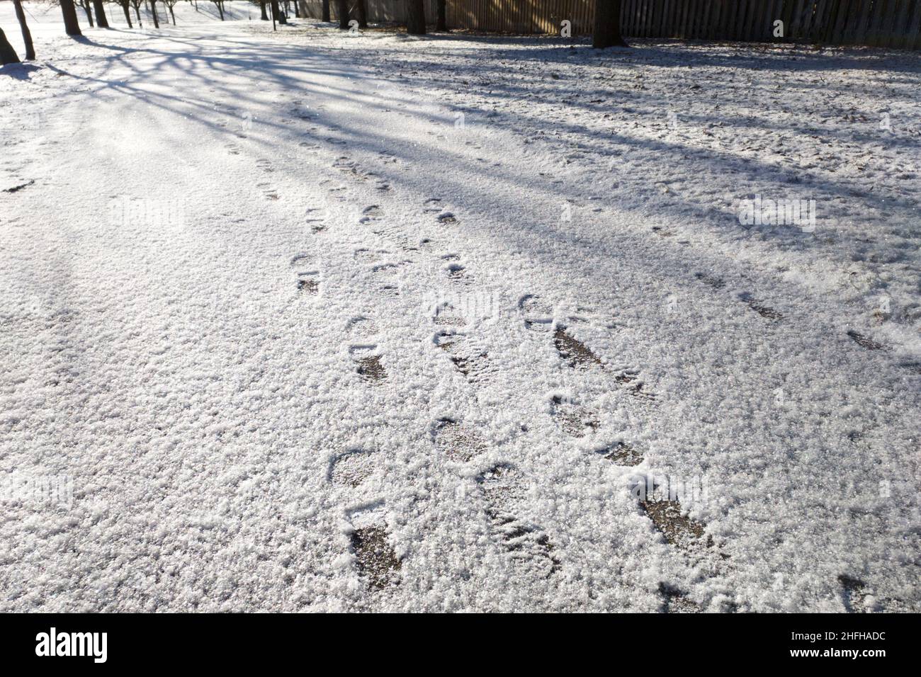 Impronta sul sentiero dopo una nevicata in inverno Foto Stock