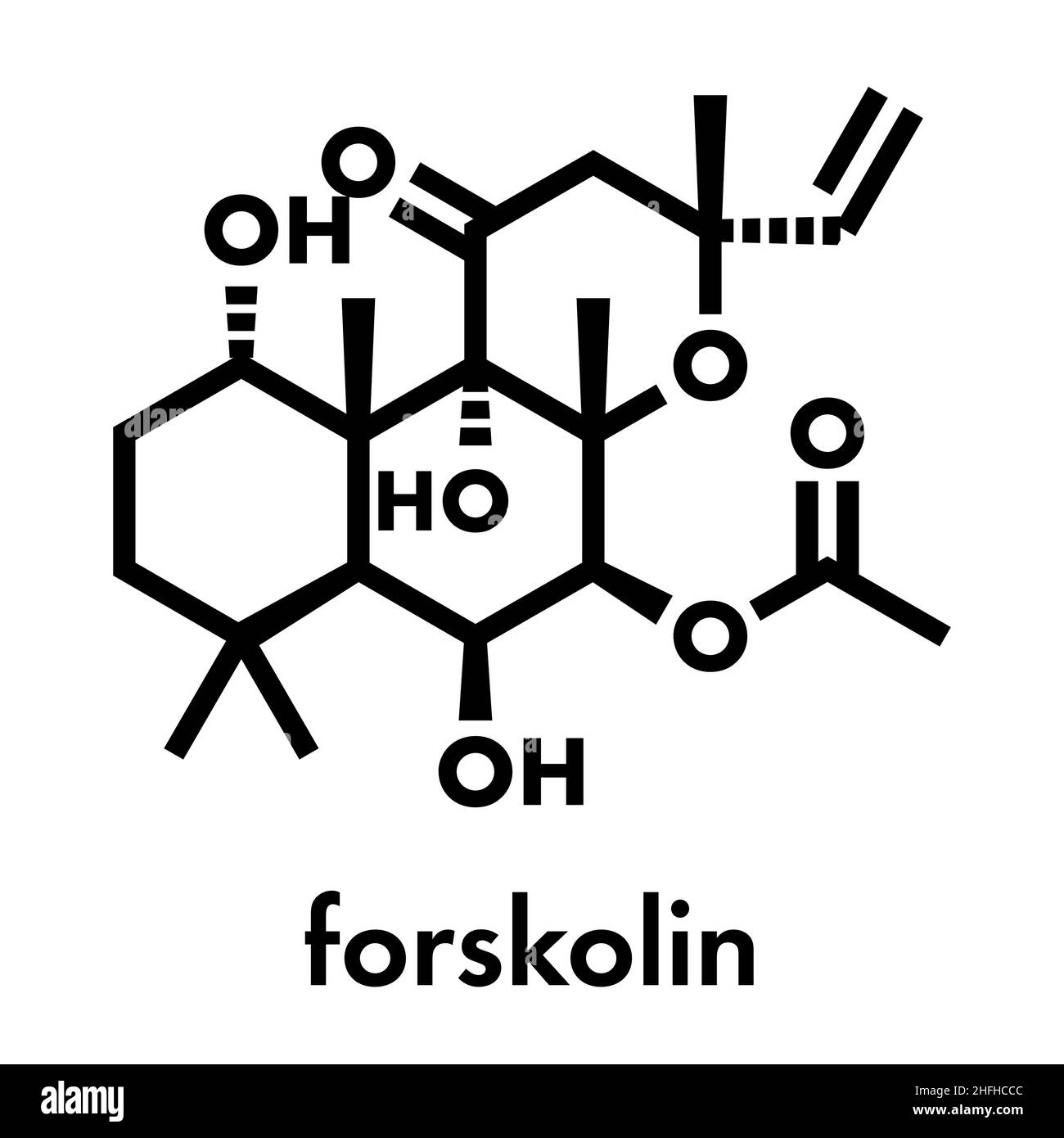 Il Forskolin (coleonol molecola). Attiva l'enzima adenil ciclasi, risultante in un aumento dei livelli di cAMP. Formula di scheletro. Illustrazione Vettoriale