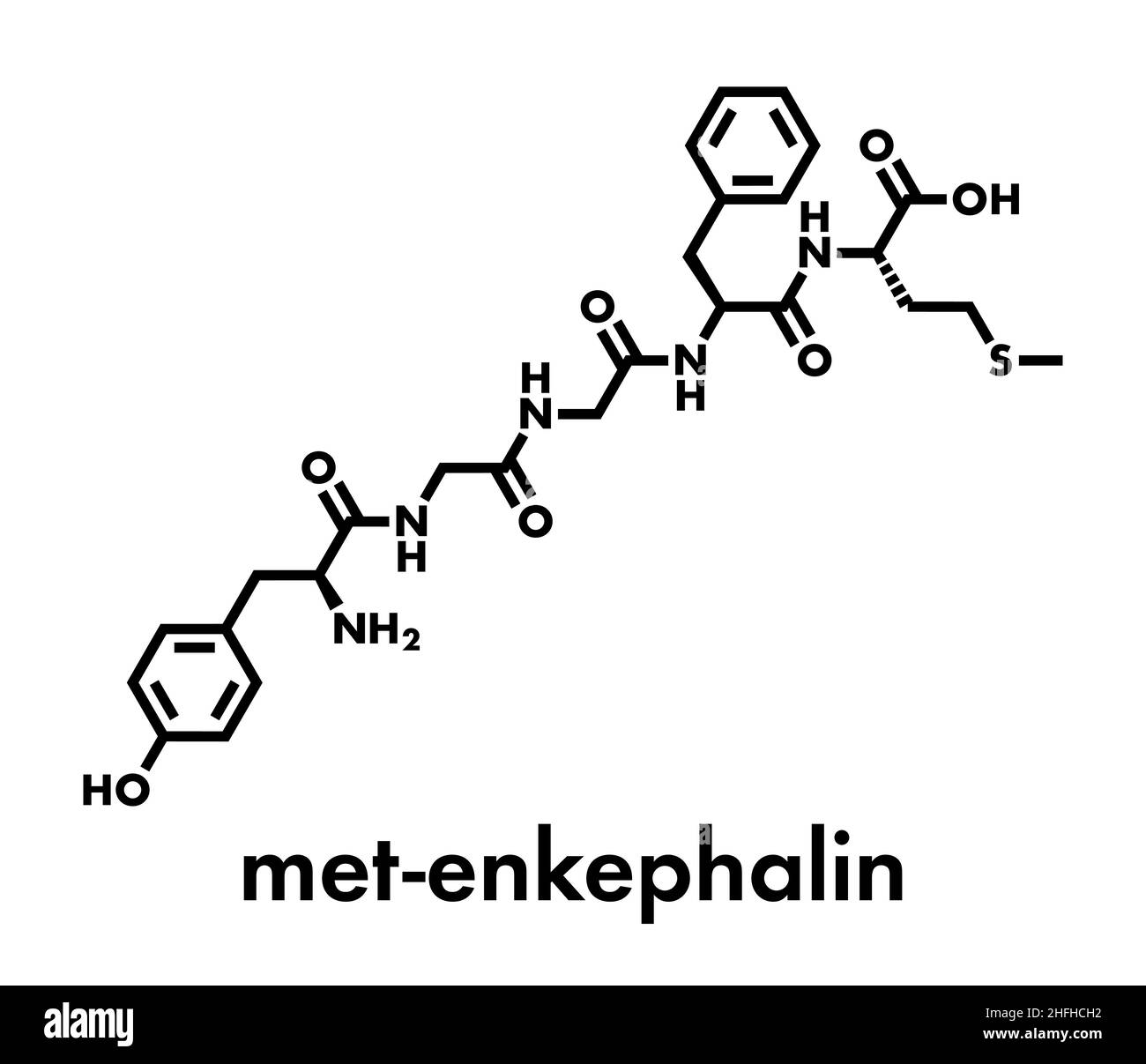 Met-encefalina oppioidi endogeni molecola peptidica. Formula di scheletro. Illustrazione Vettoriale