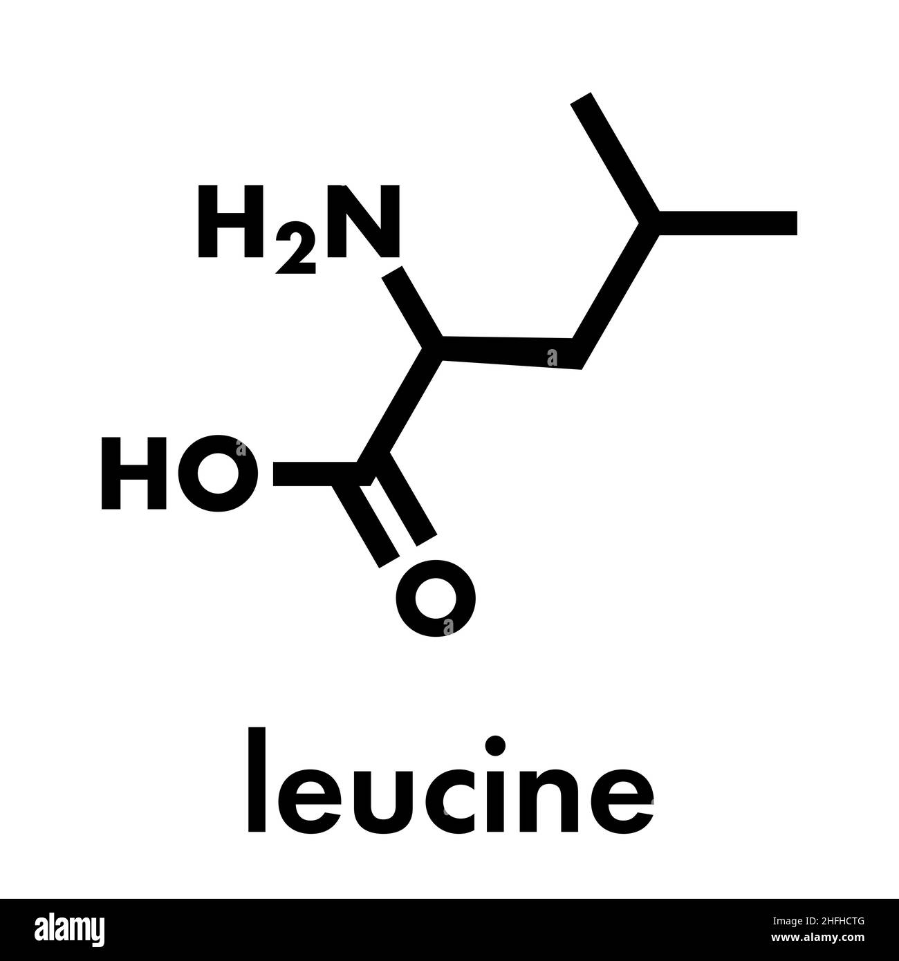 Leucina (l-leucina, Leu, L) molecola di amminoacido. Formula scheletrica. Illustrazione Vettoriale