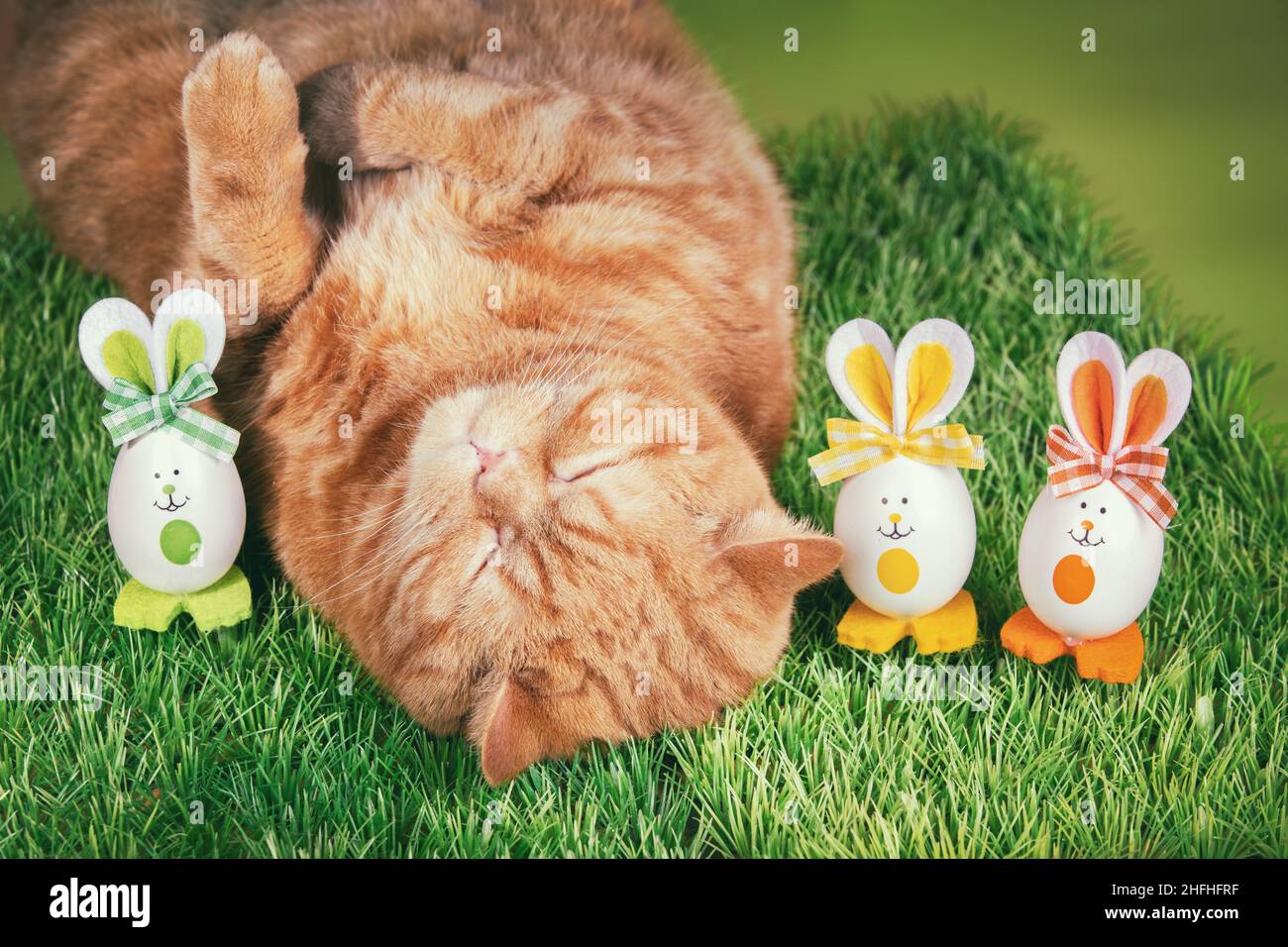 Un divertente gatto zenzero che dorme sulla schiena su erba sintetica con uova di Pasqua colorate Foto Stock